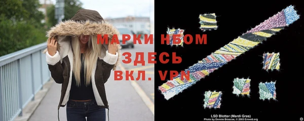 дживик Алексин