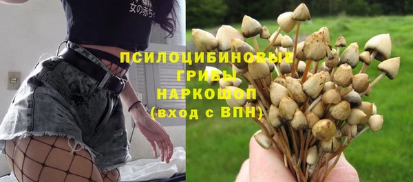 марихуана Новодвинск